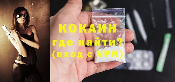шишки Козловка