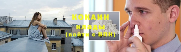 шишки Козловка