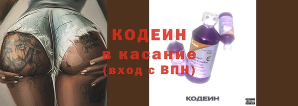 гидра Корсаков