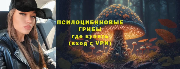 шишки Козловка
